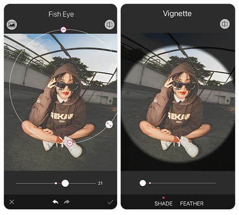 fish eye filter|How To Add a Fisheye Effect: Lens Effects & Filters .